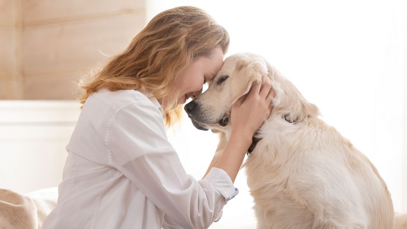 Bio-Milchzuckerpulver für Hunde: Natürliche Unterstützung für eine gesunde Verdauung