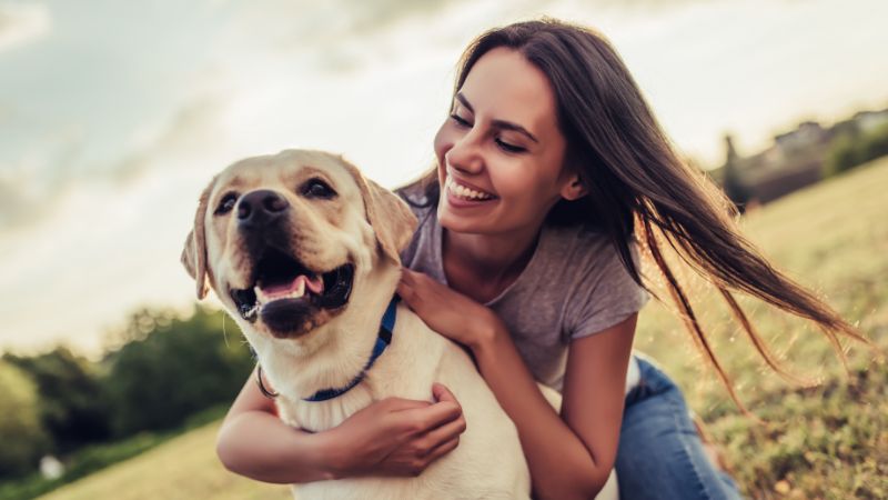 Birkenblätter für die Hundegesundheit: Natürliche Unterstützung für Nieren, Haut und Stoffwechsel