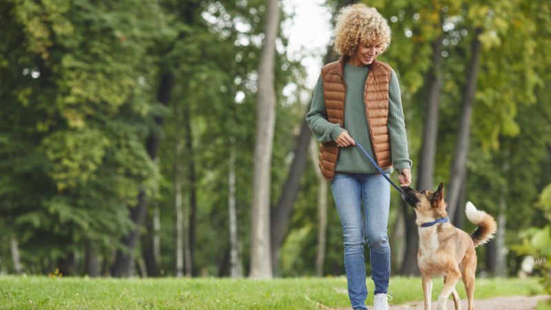Hefen für die Hundegesundheit: Natürliche Unterstützung für Verdauung, Haut und Immunsystem