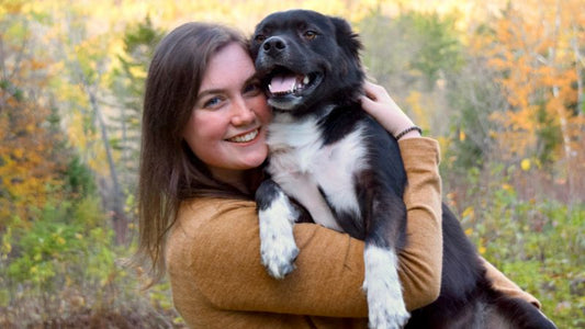 Pfefferminzblätterpulver in der Hundeernährung: Natürliche Frische und ein frischer Atem