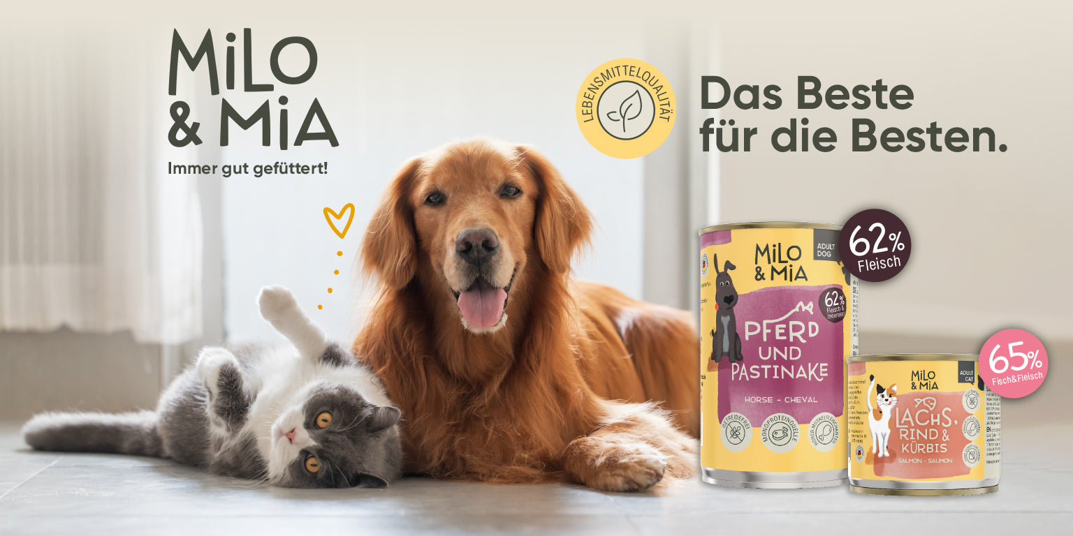 Milo & Mia Petfood Glücklich fängt beim Futter an.