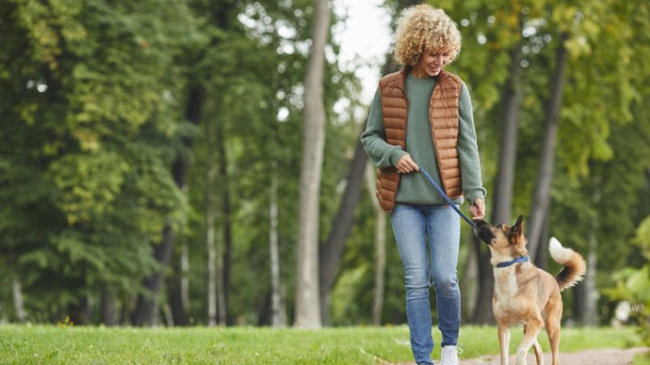 Hefen für die Hundegesundheit: Natürliche Unterstützung für Verdauung, Haut und Immunsystem