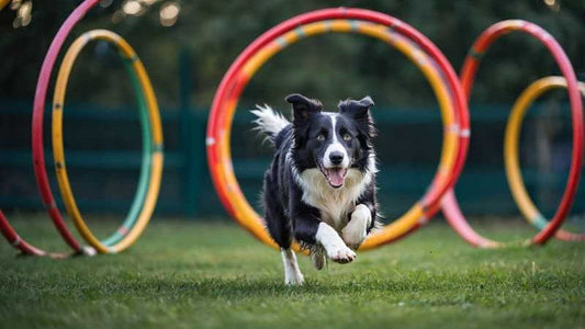 Kalium für Hunde: Warum es so wichtig ist und welche Futterquellen ideal sind