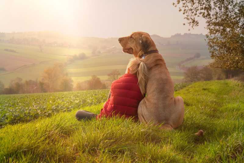 Rohfaser für Hunde: Warum Ballaststoffe so wichtig für die Verdauung sind