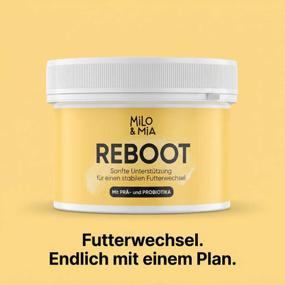 Futterumstellung Reboot