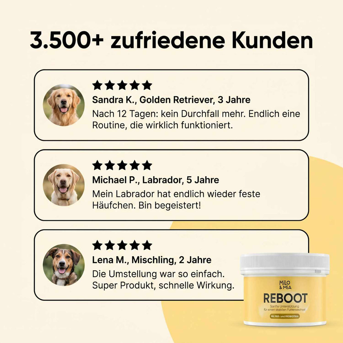 REBOOT Bewertungen