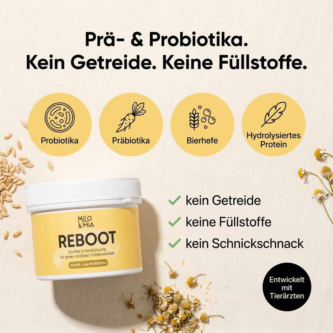 REBOOT Inhaltsstoffe