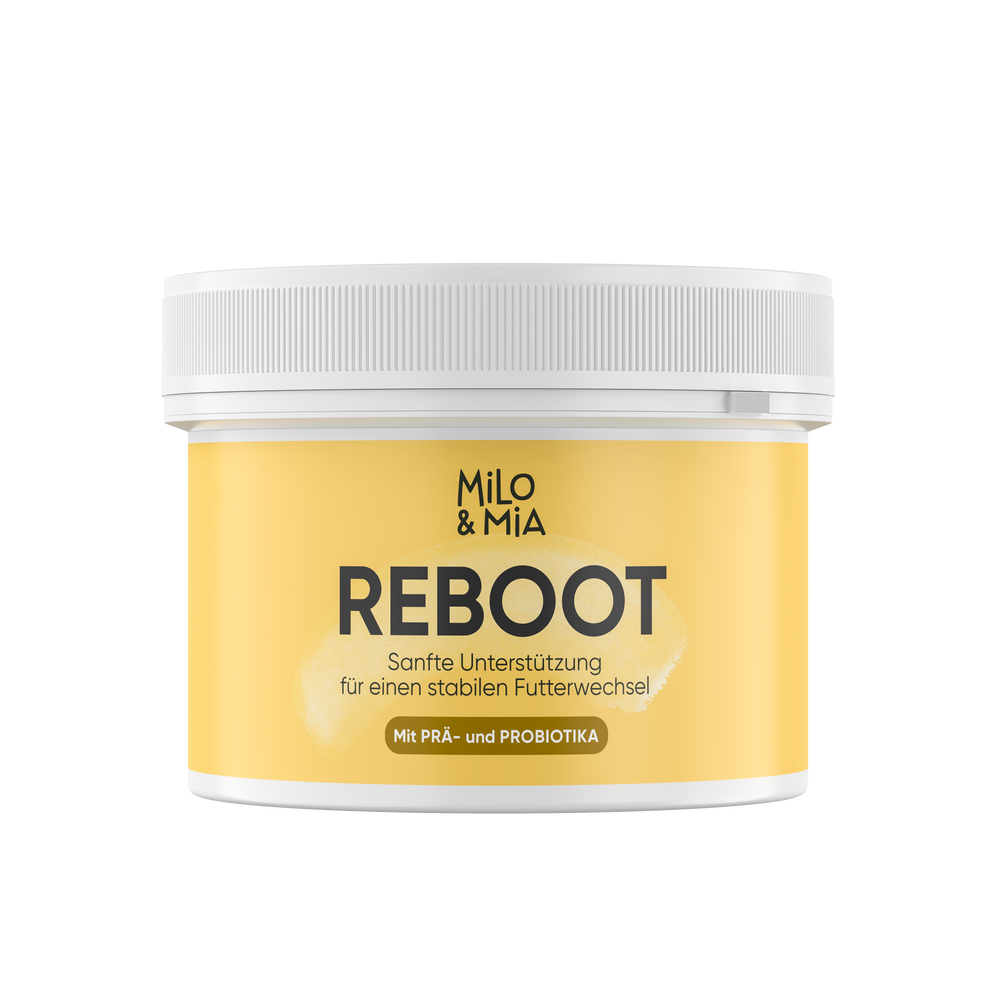 30-Tage Futterumstellung mit Reboot