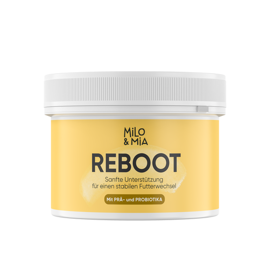 Futterumstellung Reboot