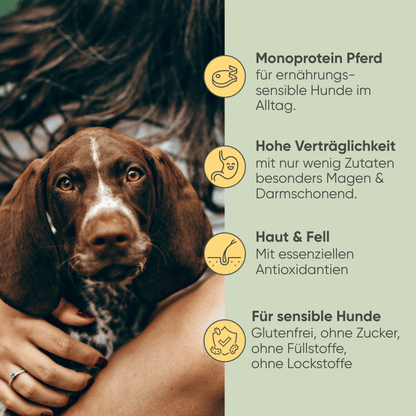 Wild, Lamm & Nudeln
