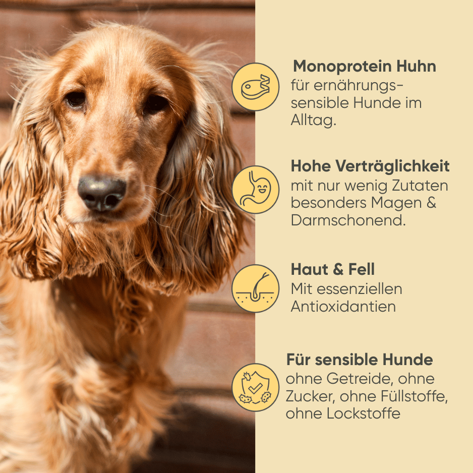 Geflügel, Reis & Gemüse