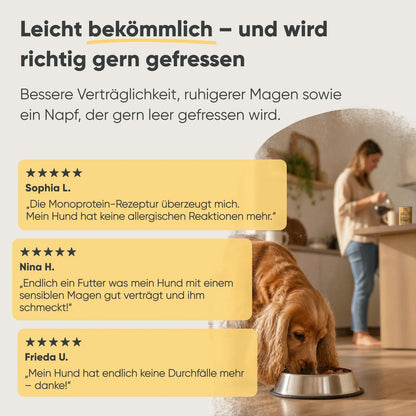 Geflügel, Reis & Gemüse