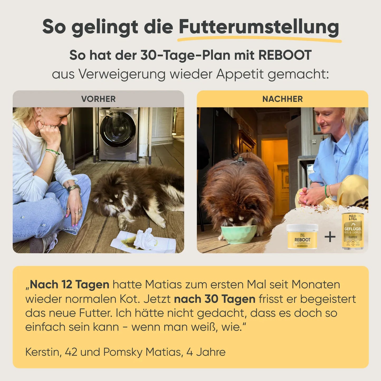 Geflügel, Reis & Gemüse