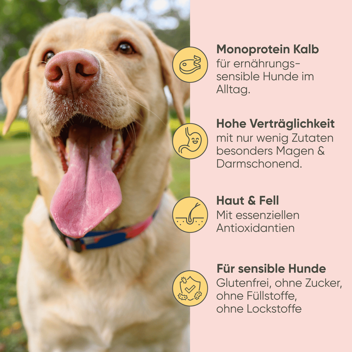 Kalb, Kürbis & Hirse
