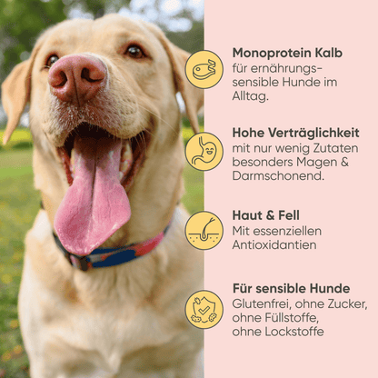 Kalb, Kürbis & Hirse