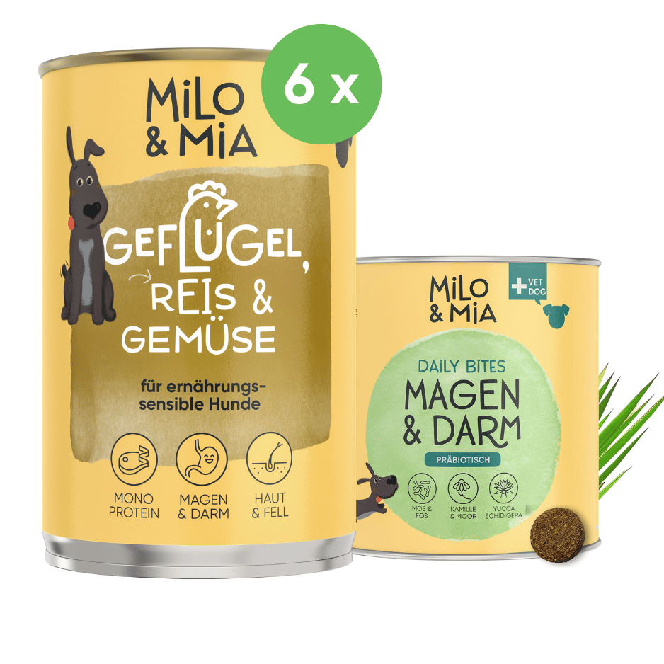 Futterumstellung Geflügel mit Magen-Darm-Beruhigung