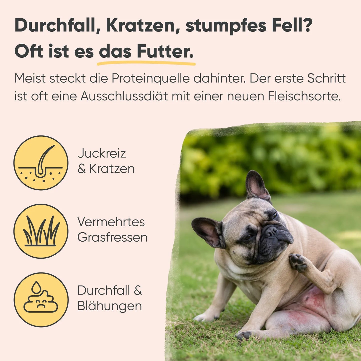 Lachs & Kartoffel