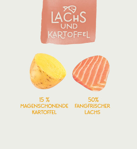 Lachs & Kartoffel