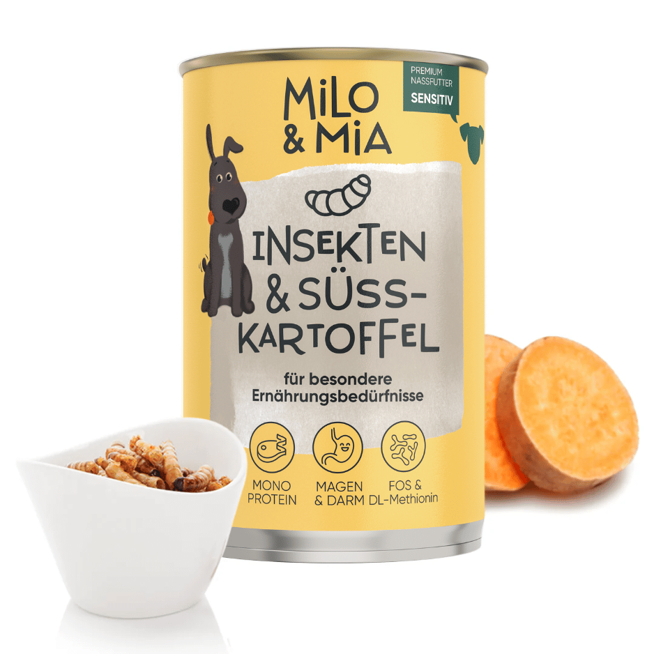 Insekten & Süßkartoffel
