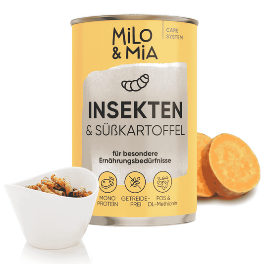 Insekten & Süßkartoffel