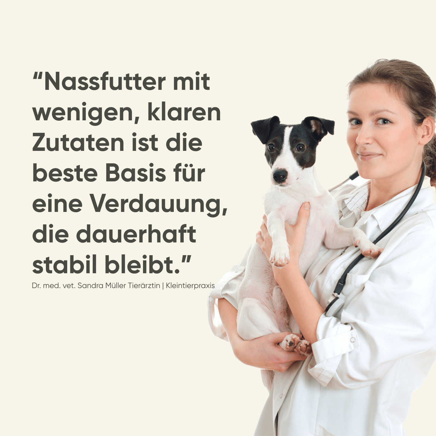 Insekten & Süßkartoffel