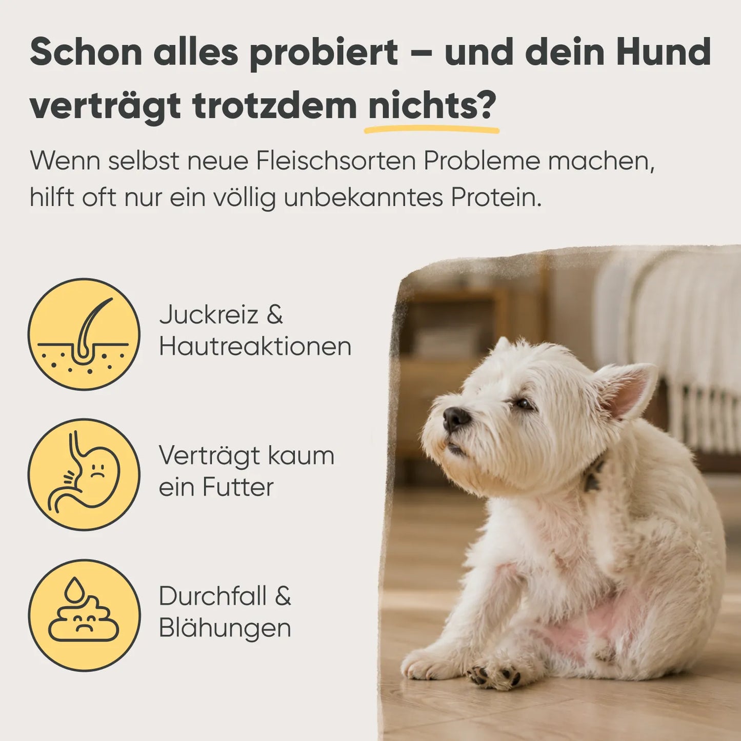 Insekten & Süßkartoffel