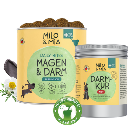 Daily Bites + 30-Tage Magen-Darm-Kur im Vorteilspaket