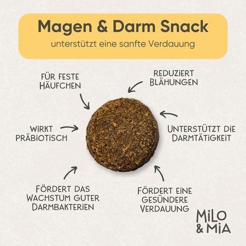 Daily Bites + 30-Tage Magen-Darm-Kur im Vorteilspaket