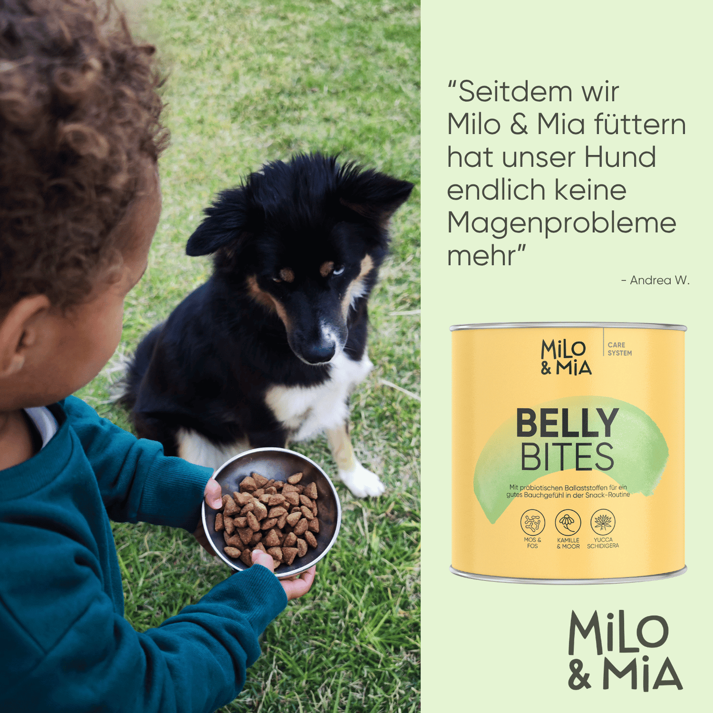 Belly Bites