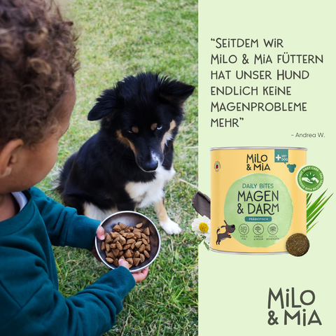 Daily Bites + 30-Tage Magen-Darm-Kur im Vorteilspaket