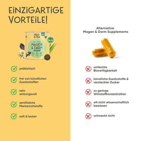 Daily Bites + 30-Tage Magen-Darm-Kur im Vorteilspaket