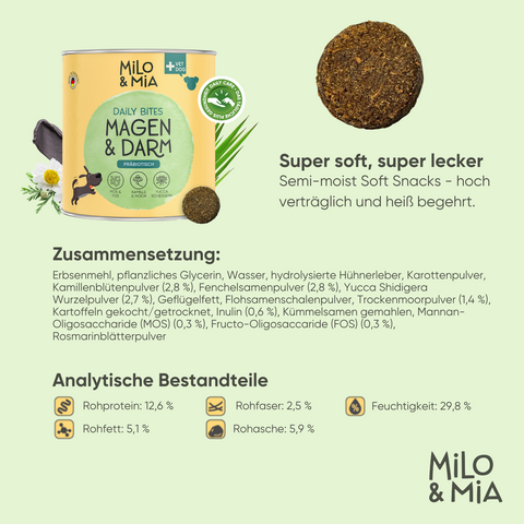 Daily Bites + 30-Tage Magen-Darm-Kur im Vorteilspaket