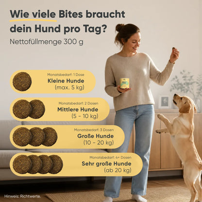 Belly Bites