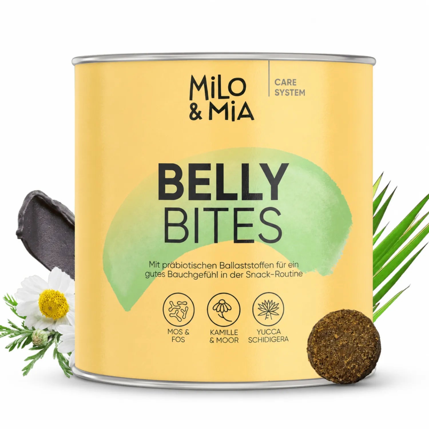 Belly Bites