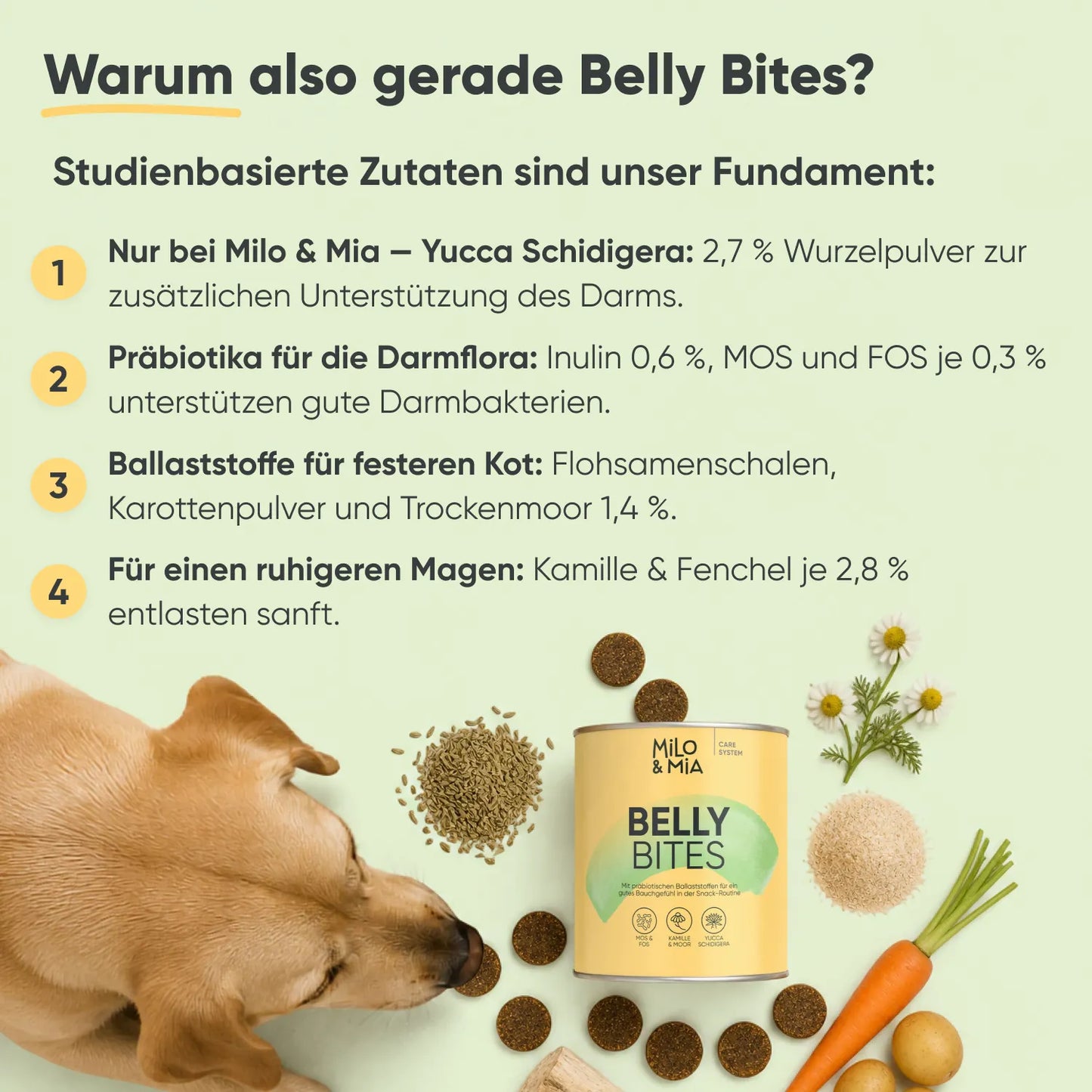 Belly Bites