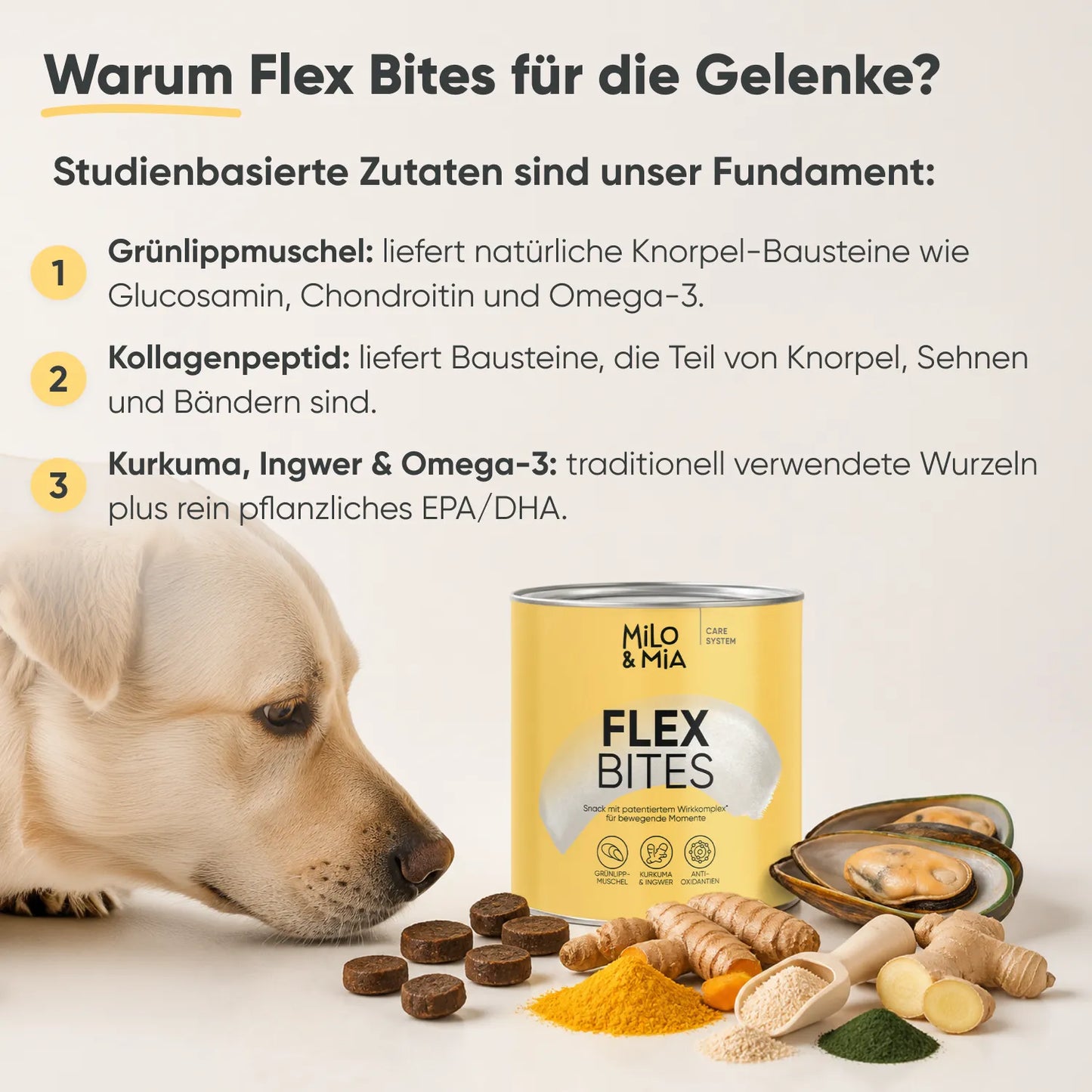 Flex Bites