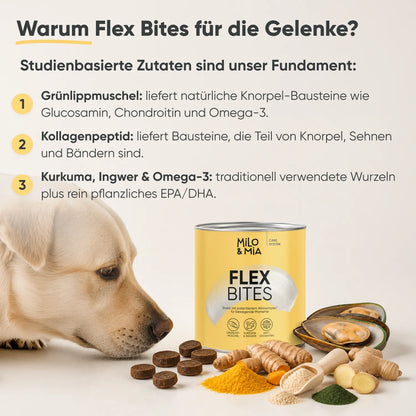 Flex Bites
