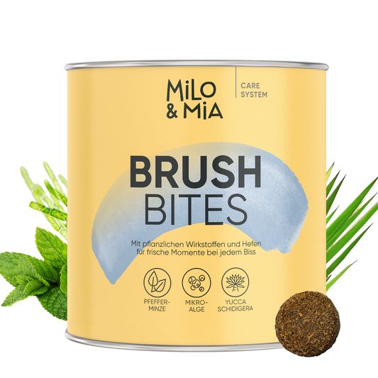 Brush Bites
