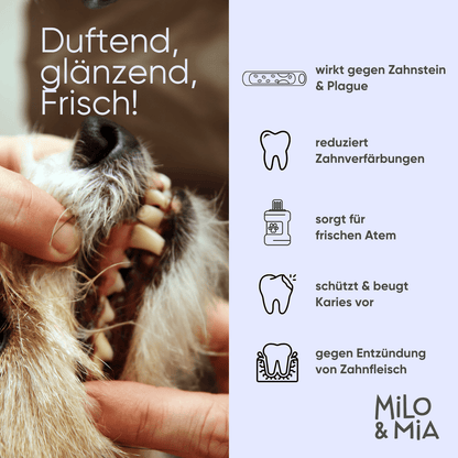 Brush Bites
