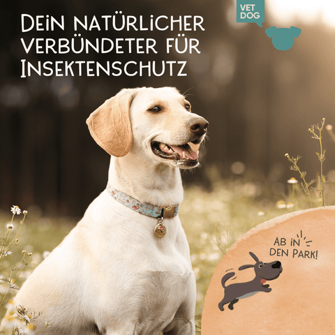 Daily Care - Pflanzliches Zeckenschutz Spray