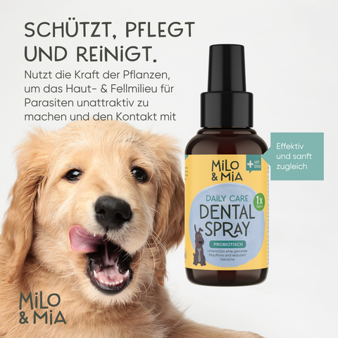 Daily Care - Probiotisches Dental Spray