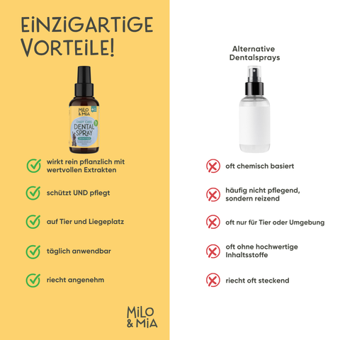 Daily Care - Probiotisches Dental Spray