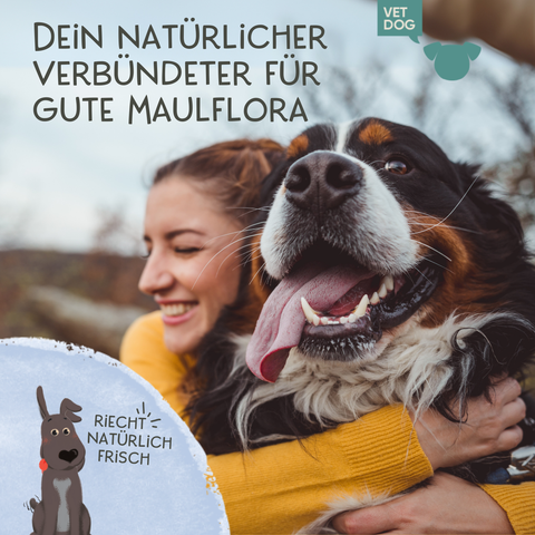 Dental Bundle für Hunde – Zahnpflege-Snacks & Spray