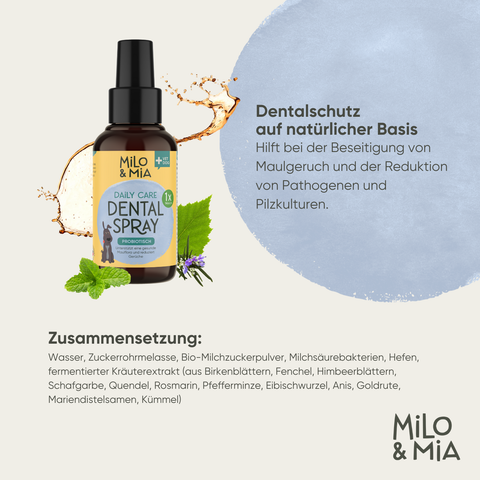 Dental Bundle für Hunde – Zahnpflege-Snacks & Spray
