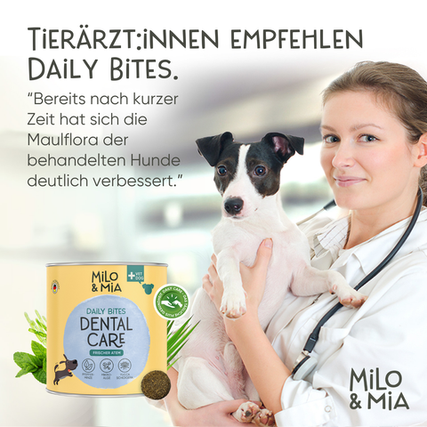 Dental Bundle für Hunde – Zahnpflege-Snacks & Spray