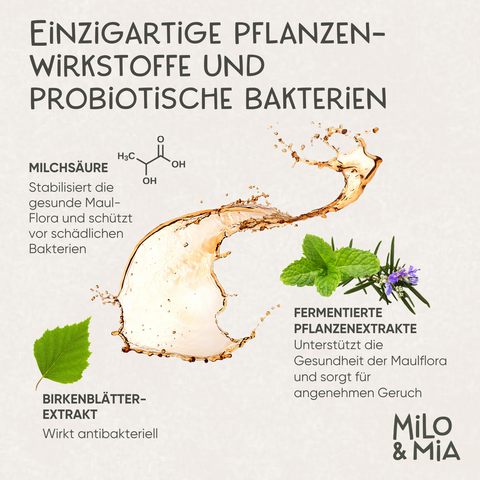 Dental Bundle für Hunde – Zahnpflege-Snacks & Spray