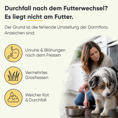 Futterumstellung Reboot