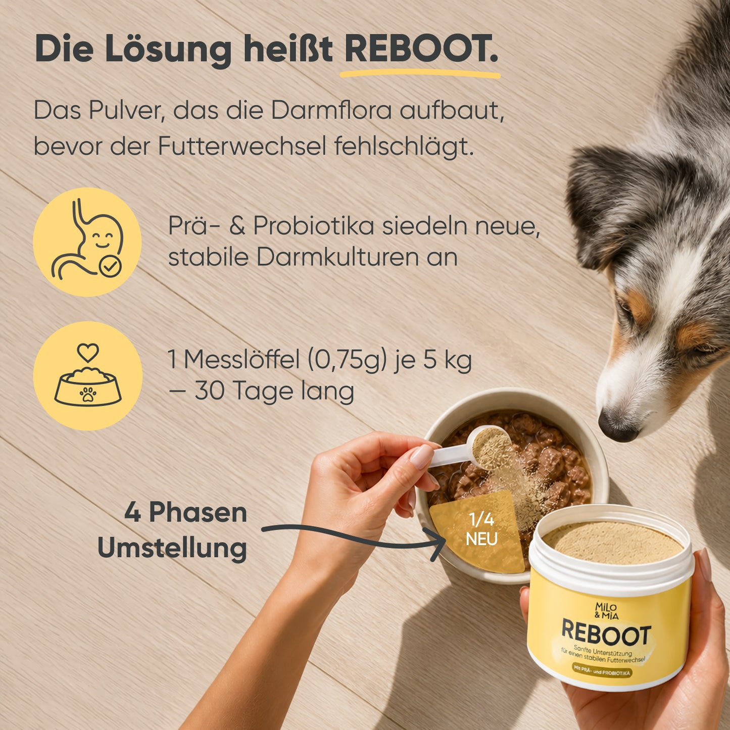 Futterumstellung Reboot