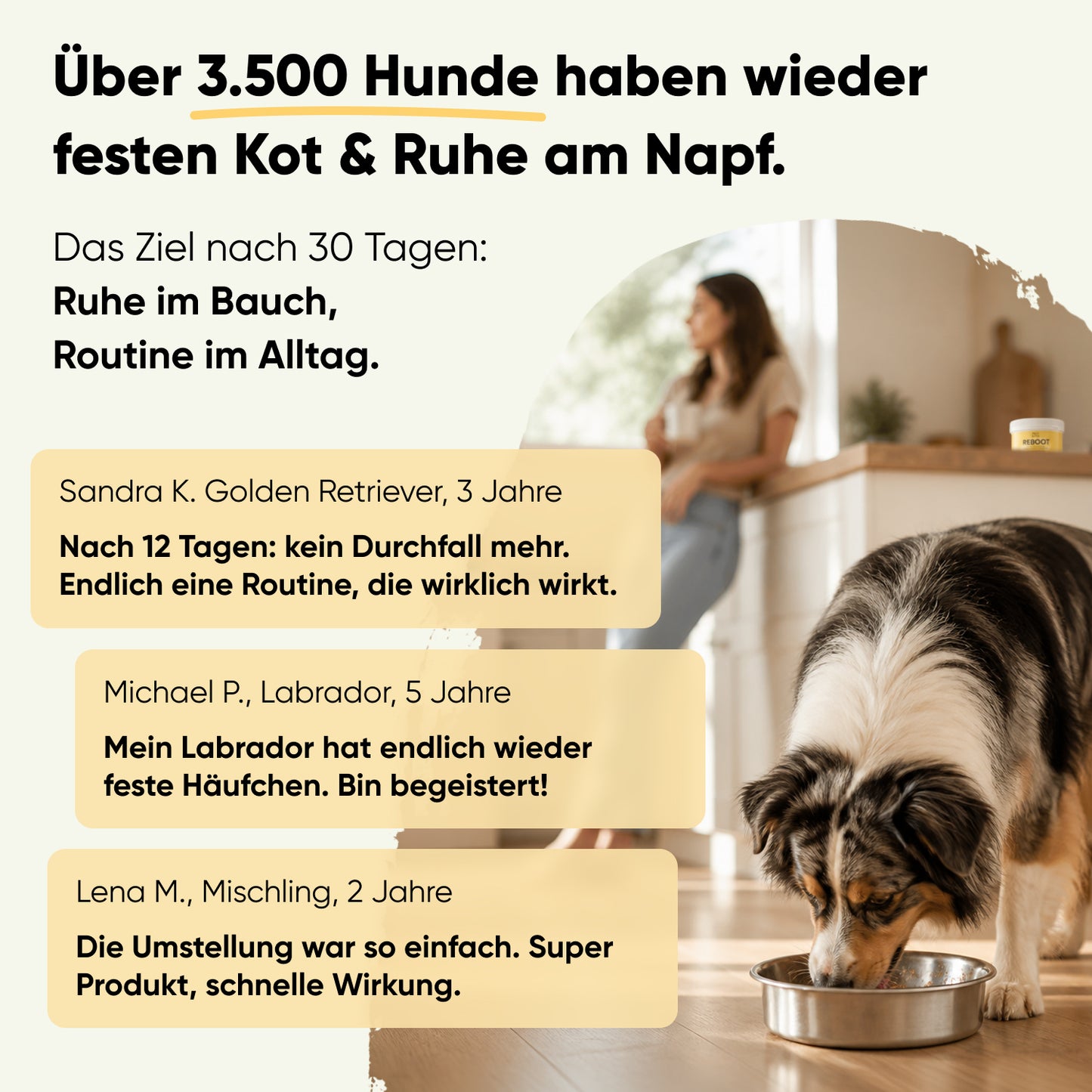 Futterumstellung Reboot