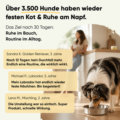 Futterumstellung Reboot